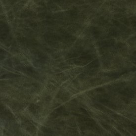 Dark olive green